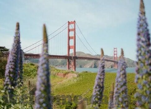 乐鱼体育不能出金-乐鱼体育无法提现问题探讨
