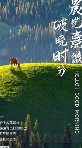 球探足球比分触-球探足球比分触，科技赋能下的足球数据新生态